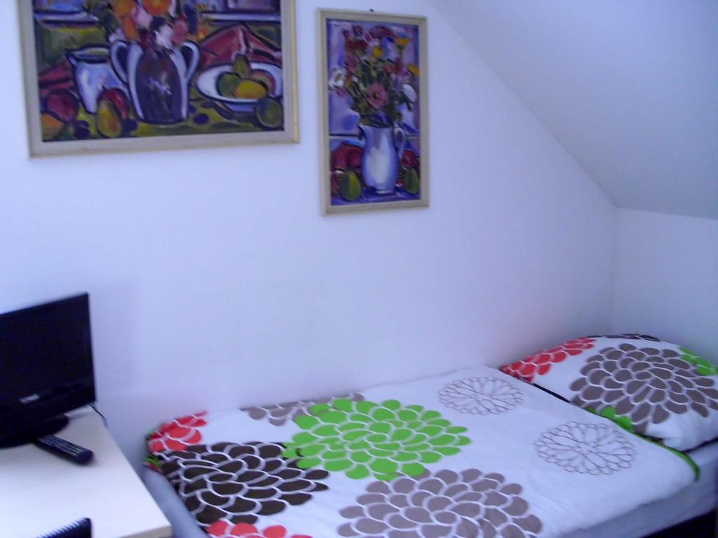 Apartman Pavla Appartamento Jeseník Esterno foto